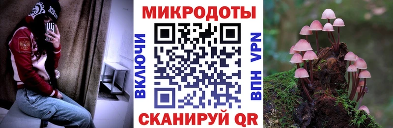 Купить  Северо-Курильск  Галлюциногенные грибы ЛСД 
