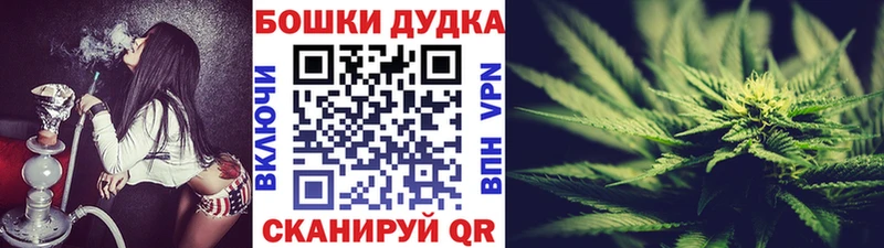 Купить где  Северо-Курильск  Конопля планчик 